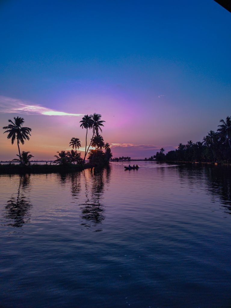 Breathtaking sunset over Kuttanad's tranquil backwaters with palm trees and reflections.